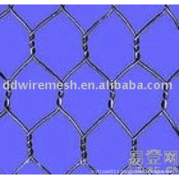 hexagonal mesh